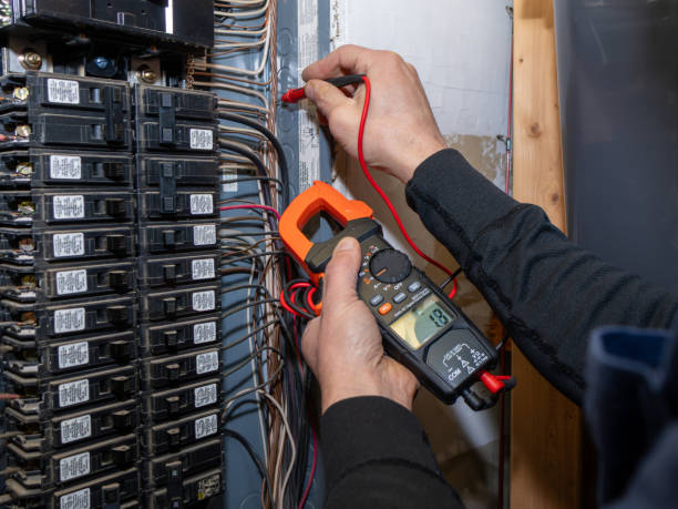 Best Local Electrician Companies  in Tazewell, TN
